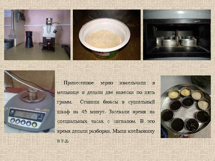 Принесенное зерно измельчали в мельнице и делали две навески по пять грамм. Ставили бюксы