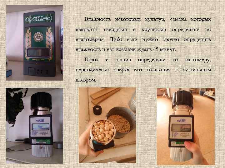 Влажность некоторых культур, семена которых являются твердыми и крупными определяли по влагомерам. Либо если
