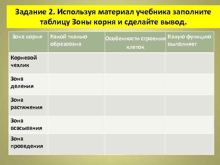 Особенности строения клеток зоны проведения