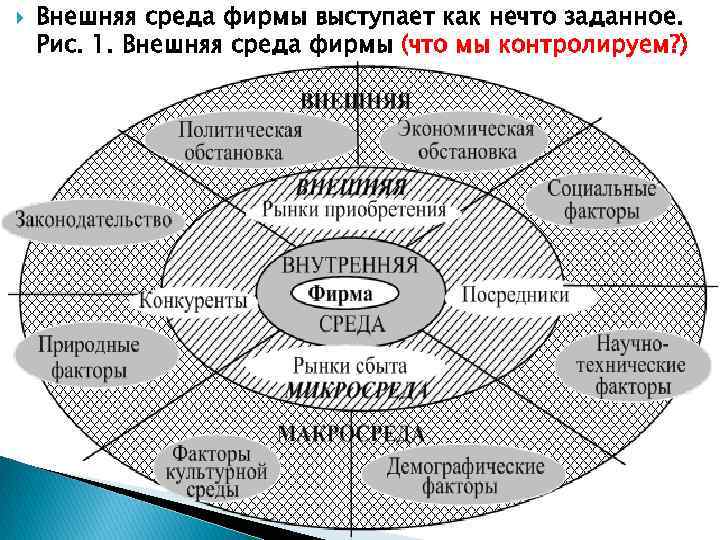 Виды внешней среды