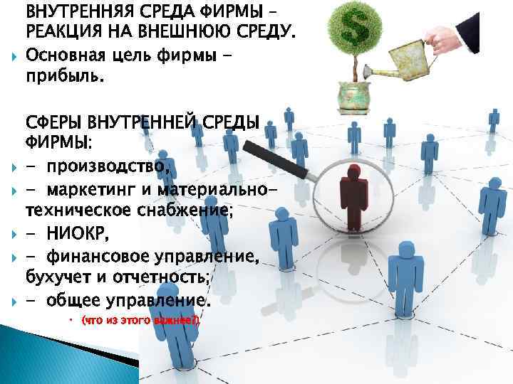  ВНУТРЕННЯЯ СРЕДА ФИРМЫ – РЕАКЦИЯ НА ВНЕШНЮЮ СРЕДУ. Основная цель фирмы прибыль. СФЕРЫ