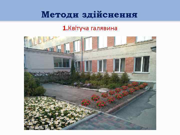 Методи здійснення 1. Квітуча галявина 