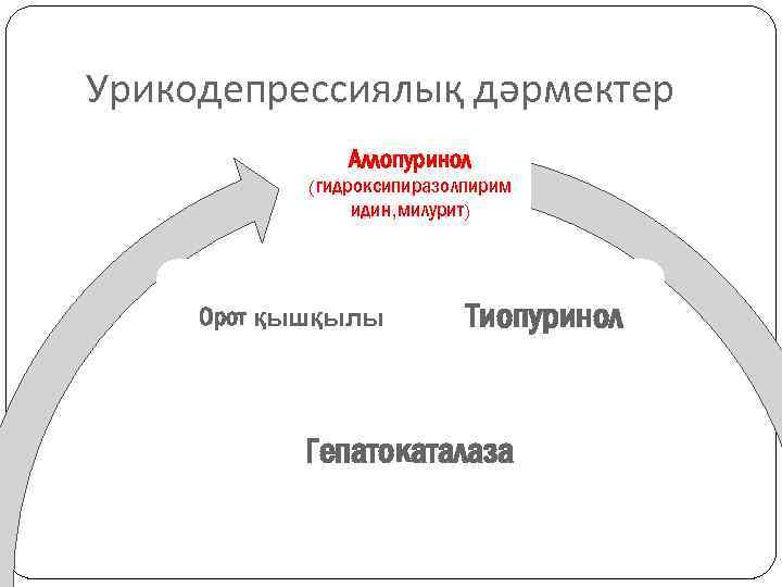 Урикодепрессиялық дәрмектер Аллопуринол (гидроксипиразолпирим идин, милурит) Орот қышқылы Тиопуринол Гепатокаталаза 