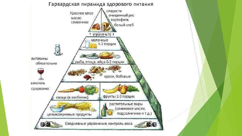 Гарвардская пирамида здорового питания 