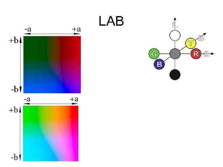 LAB 