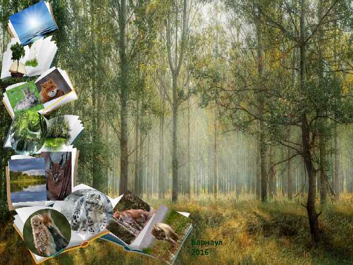 Барнаул 2016 