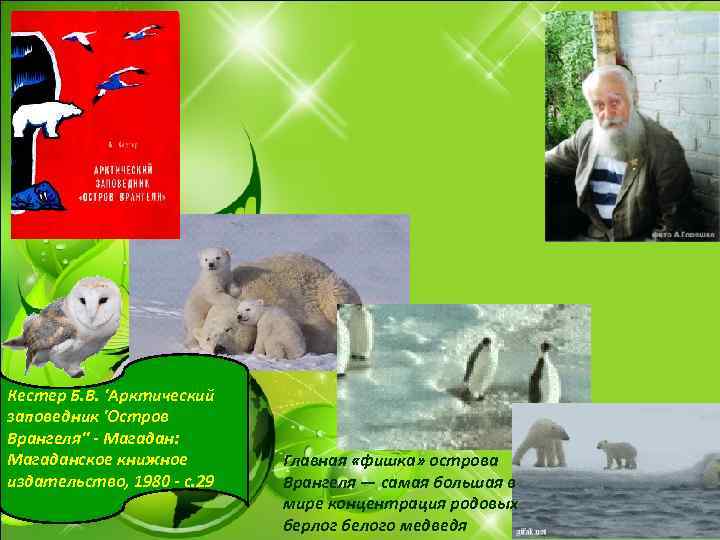 Кестер Б. В. 'Арктический заповедник 'Остров Врангеля'' - Магадан: Магаданское книжное издательство, 1980 -
