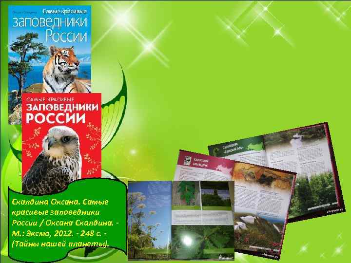 Скалдина Оксана. Самые красивые заповедники России / Оксана Скалдина. - М. : Эксмо, 2012.