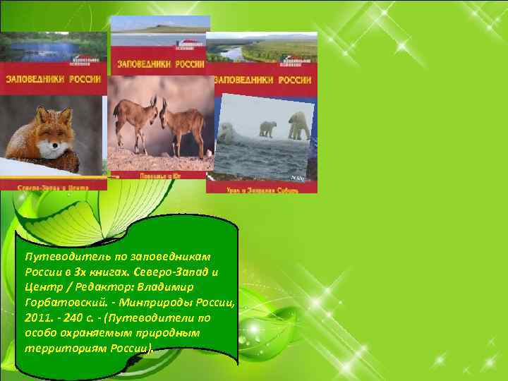 Путеводитель по заповедникам России в 3 х книгах. Северо-Запад и Центр / Редактор: Владимир