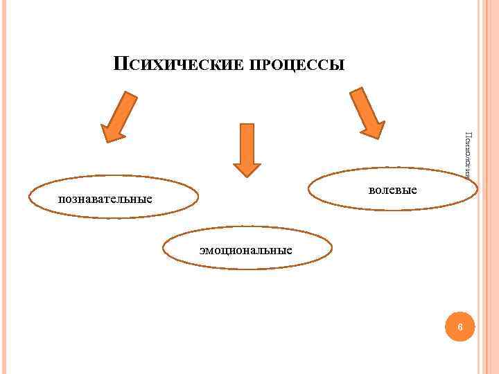 ПСИХИЧЕСКИЕ ПРОЦЕССЫ Психология волевые познавательные эмоциональные 6 