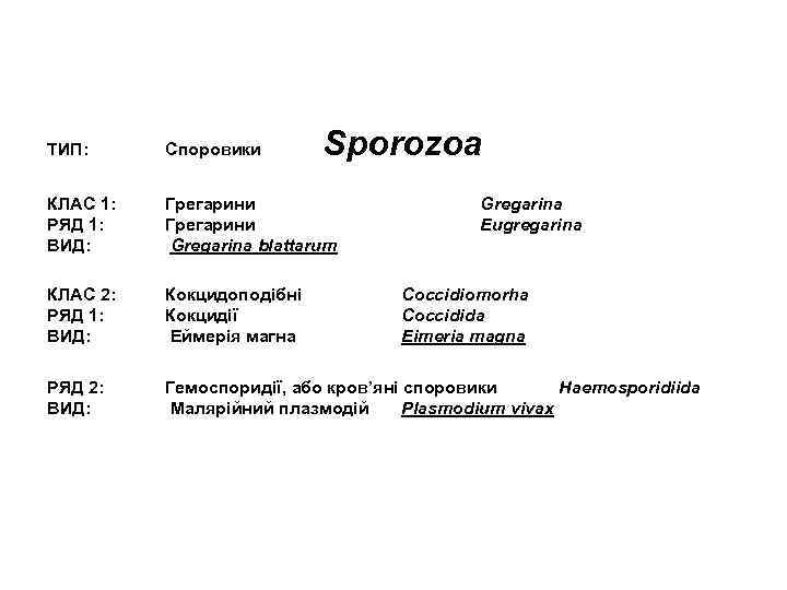 Sporozoa ТИП: Споровики КЛАС 1: РЯД 1: ВИД: Грегарини Gregarina blattarum КЛАС 2: РЯД