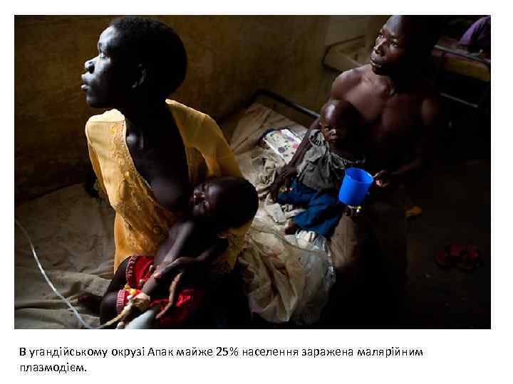 В угандійському окрузі Апак майже 25% населення заражена малярійним плазмодієм. 