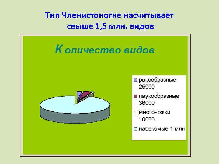 Тип Членистоногие насчитывает свыше 1, 5 млн. видов 