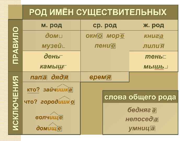 Какому роду относятся дети. Род имен существительных. Род слова. Родимён существительных. Русский язык род имен существительных.