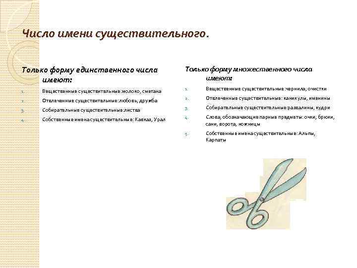 Число имени существительного. Только форму единственного числа имеют: Только форму множественного числа имеют: 1.