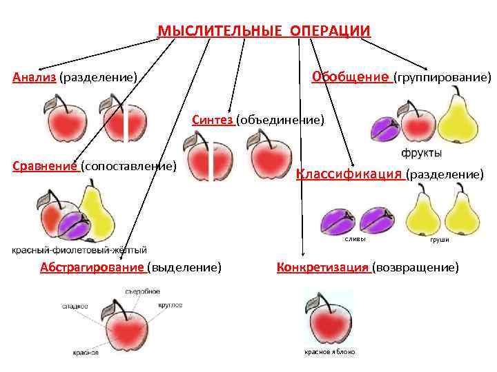 Мыслительные операции картинки