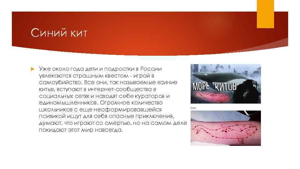 Синий кит Уже около года дети и подростки в России увлекаются страшным квестом -