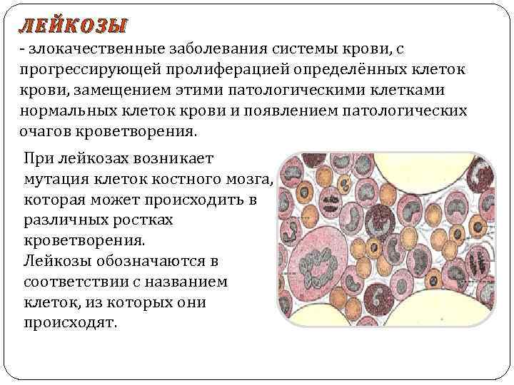 ЛЕЙКОЗЫ - злокачественные заболевания системы крови, с прогрессирующей пролиферацией определённых клеток крови, замещением этими