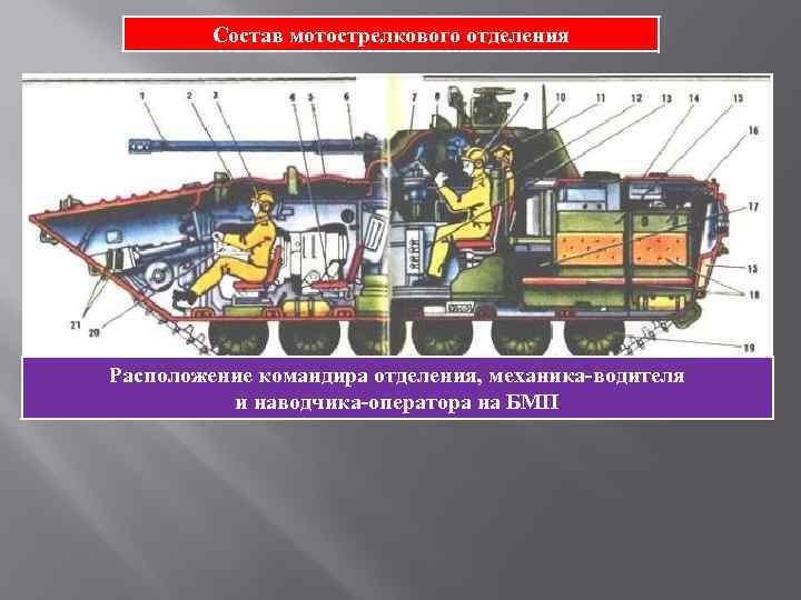 Состав мотострелкового отделения Расположение командира отделения, механика-водителя и наводчика-оператора на БМП 