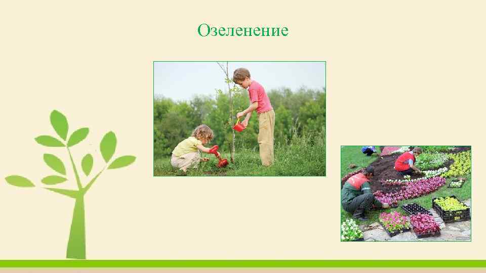 Озеленение 