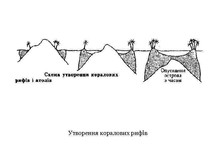 Утворення коралових рифів 