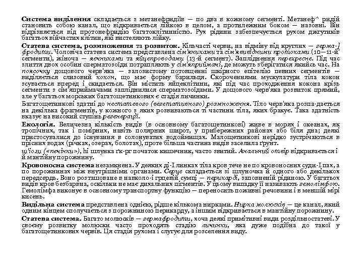 Система виділення складається з метанефридіїв — по два в кожному сегменті. Метанеф^ ридій становить