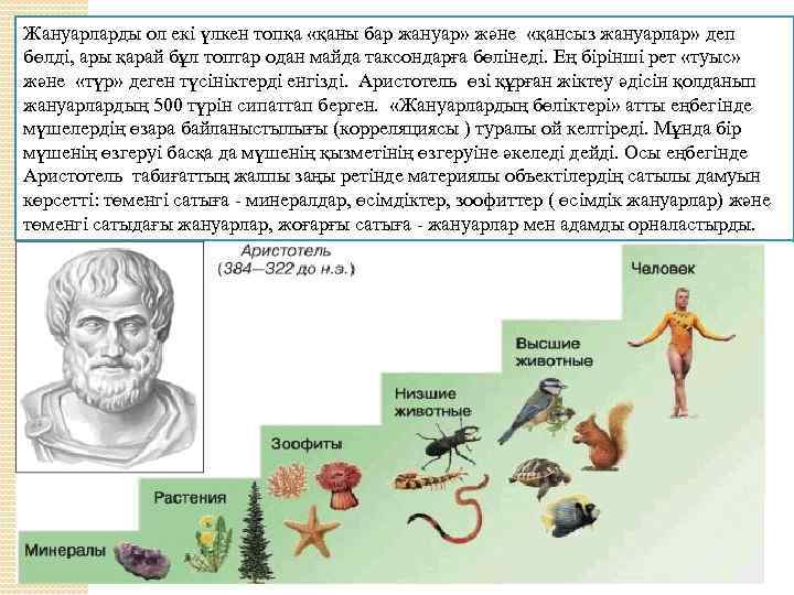 Жануарларды ол екi үлкен топқа «қаны бар жануар» және «қансыз жануарлар» деп бөлдi, ары