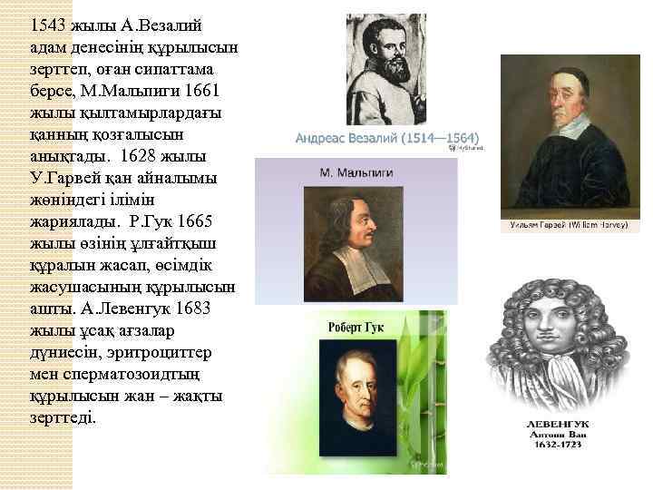 1543 жылы А. Везалий адам денесінің құрылысын зерттеп, оған сипаттама берсе, М. Мальпиги 1661