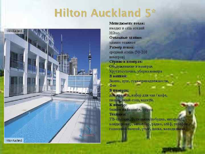 Hilton Auckland 5* Менеджмент отеля: входит в сеть отелей Hilton Отельные здания: здание этажное