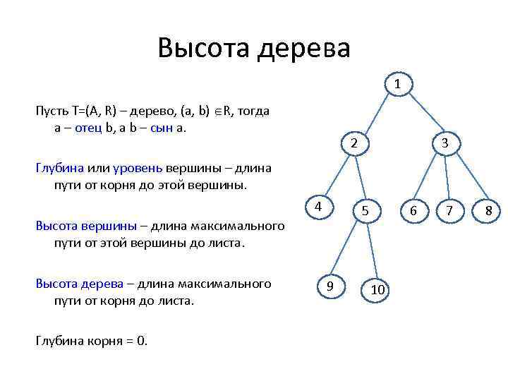 Высота дерева 1 Пусть Т=(A, R) – дерево, (a, b) R, тогда a –