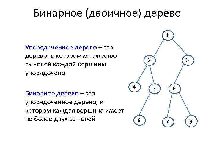 Бинарное (двоичное) дерево 1 Упорядоченное дерево – это дерево, в котором множество сыновей каждой