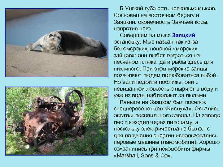  В Унской губе есть несколько мысов. Сосновец на восточном берегу и Заяцкий, оконечность