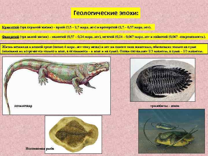 Геологические эпохи: Криптозой (эра скрытой жизни) – архей (3, 5 – 2, 7 млрд.