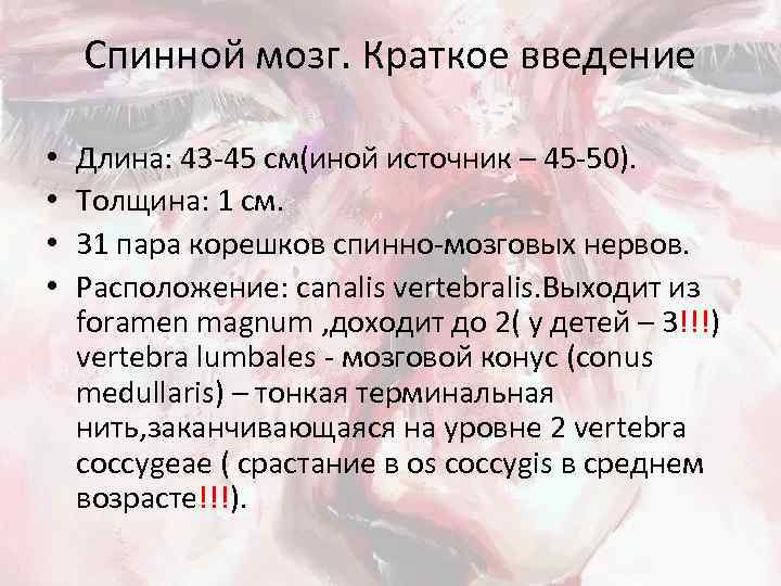 Спинной мозг. Краткое введение • • Длина: 43 -45 см(иной источник – 45 -50).