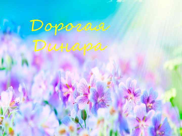 Дорогая Динара 