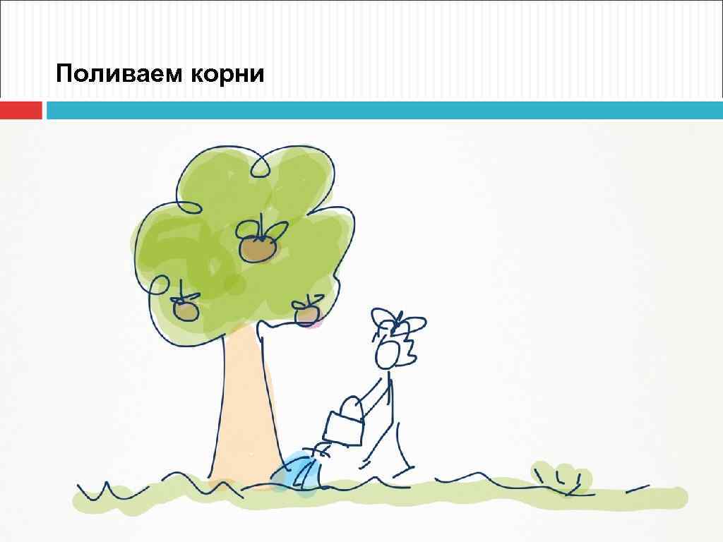 Поливаем корни 