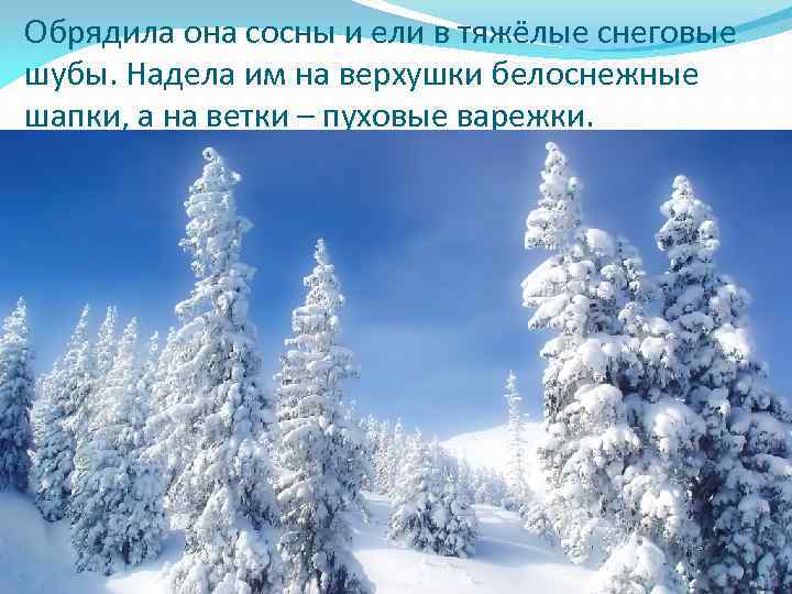 Обрядила она сосны и ели в тяжёлые снеговые шубы. Надела им на верхушки белоснежные