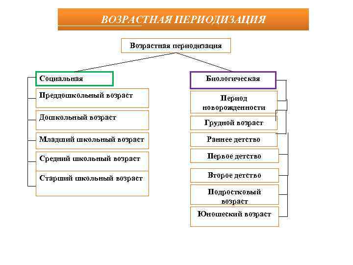 ВОЗРАСТНАЯ ПЕРИОДИЗАЦИЯ Возрастная периодизация Социальная Преддошкольный возраст Дошкольный возраст Биологическая Период новорожденности Грудной возраст