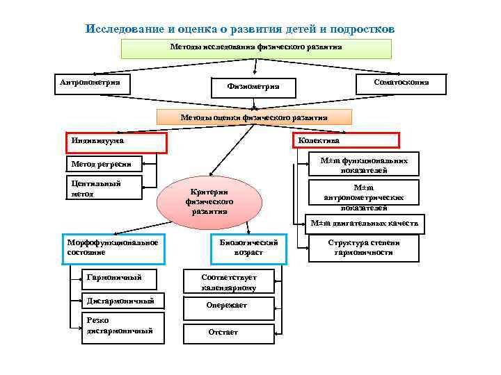  Исследование и оценка о развития детей и подростков Методы исследования физического развития Антропометрия