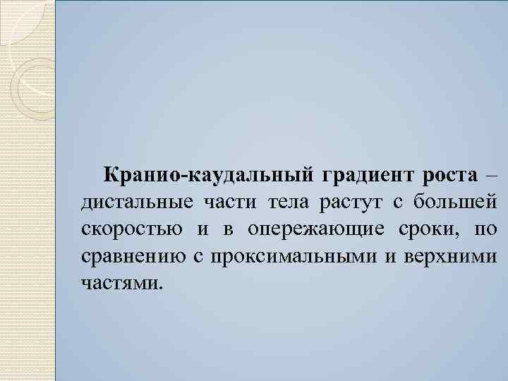  Кранио-каудальный градиент роста – дистальные части тела растут с большей скоростью и в