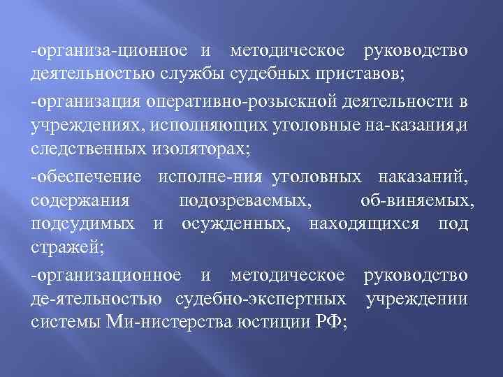  организа ционное и методическое руководство деятельностью службы судебных приставов; организация оперативно розыскной деятельности