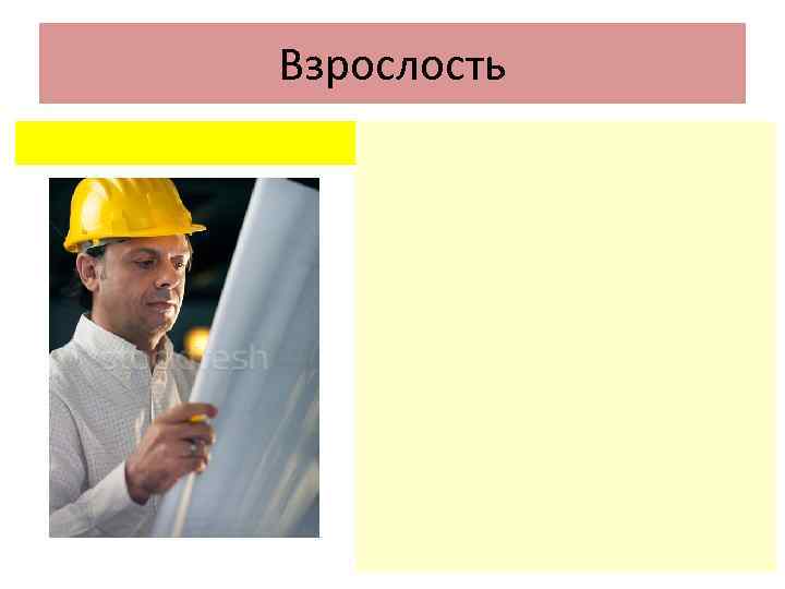 Взрослость 