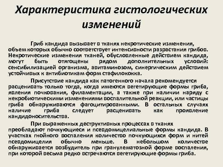 Характеристика гистологических изменений Гриб кандида вызывает в тканях некротические изменения, объем которых обычно соответствует