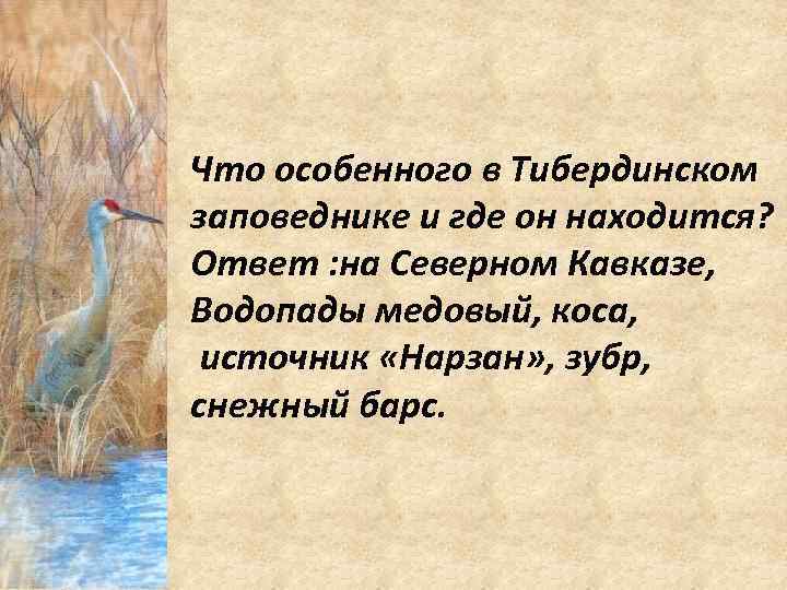 Что особенного в Тибердинском заповеднике и где он находится? Ответ : на Северном Кавказе,