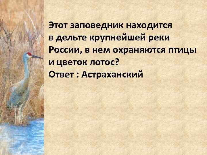 Этот заповедник находится в дельте крупнейшей реки России, в нем охраняются птицы и цветок