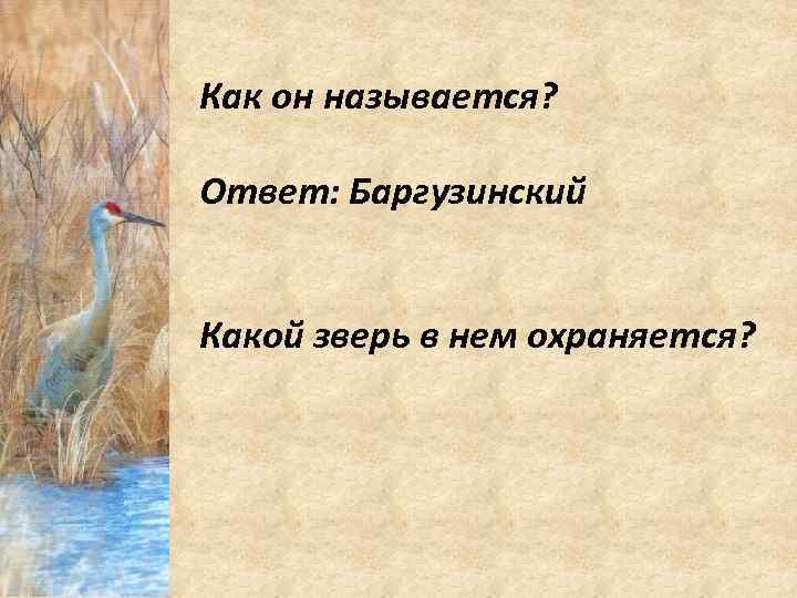 Как он называется? Ответ: Баргузинский Какой зверь в нем охраняется? 