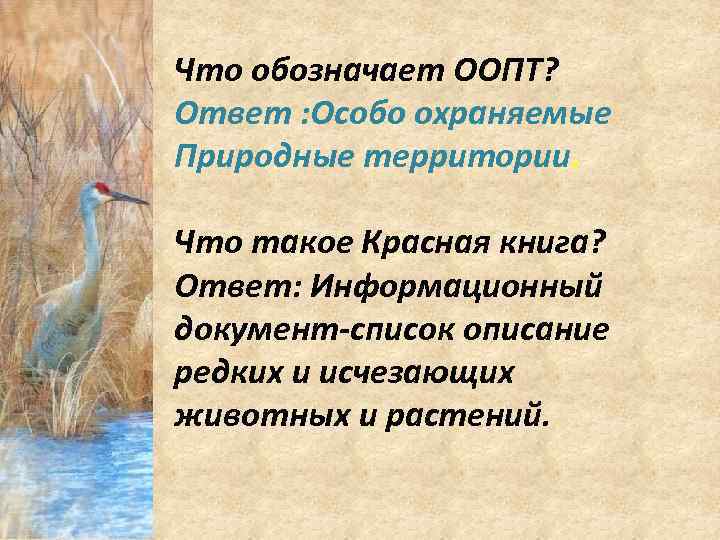 Что обозначает ООПТ? Ответ : Особо охраняемые Природные территории. Что такое Красная книга? Ответ: