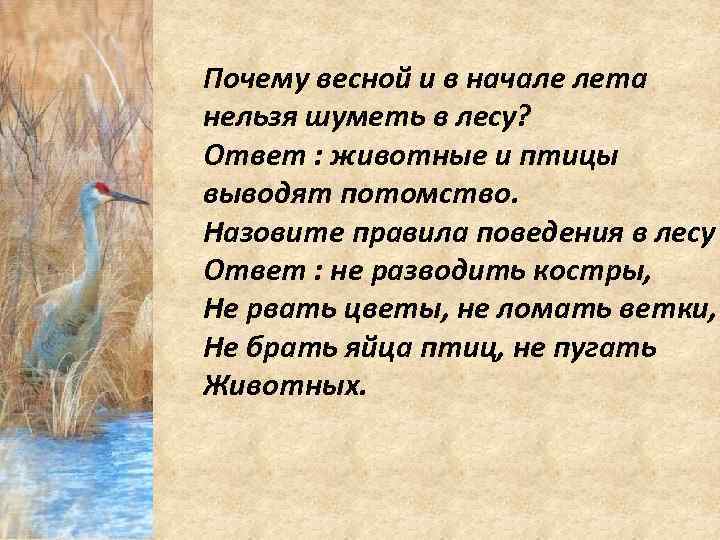 Почему весной и в начале лета нельзя шуметь в лесу? Ответ : животные и