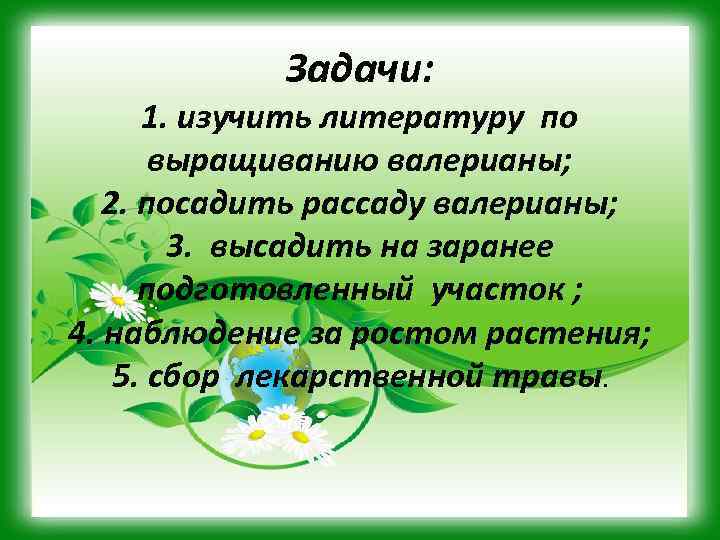 Задачи: 1. изучить литературу по выращиванию валерианы; 2. посадить рассаду валерианы; 3. высадить на