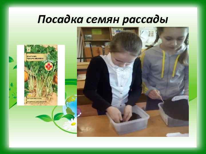 Посадка семян рассады 